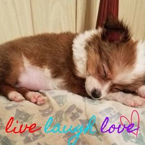 Meet your Posher, Mary beth